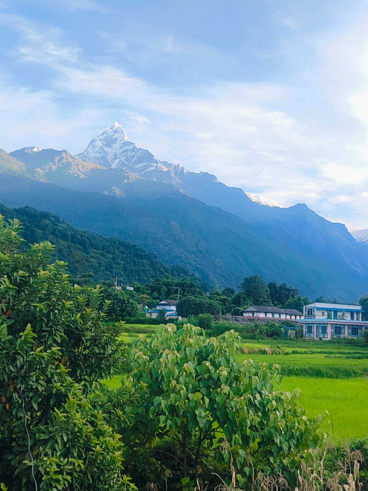 Yoga practice session with mountain backdrop
