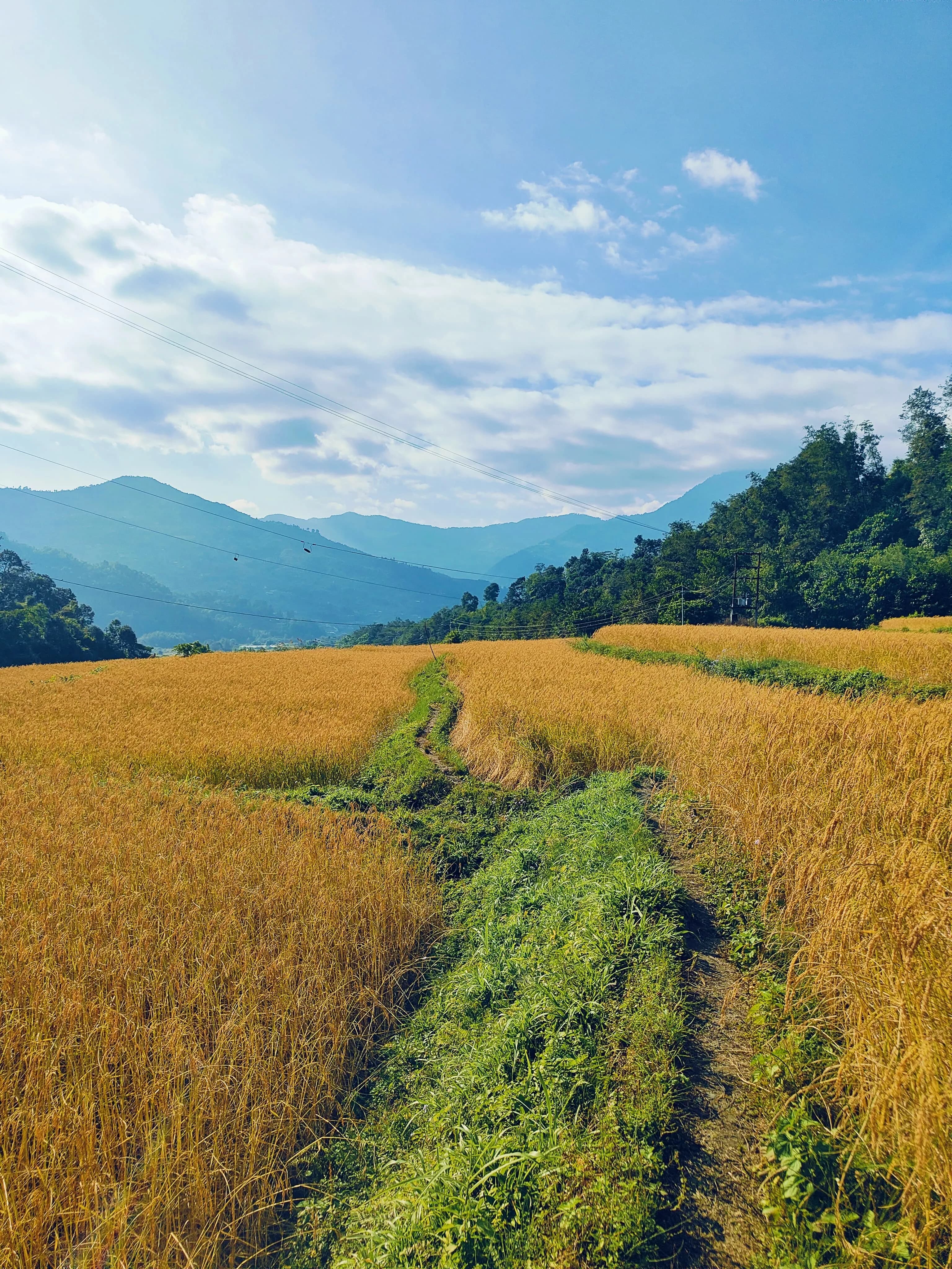 Nepal Visa for Yoga Practitioners - Your Complete Guide to Nepal Entry Requirements hero banner