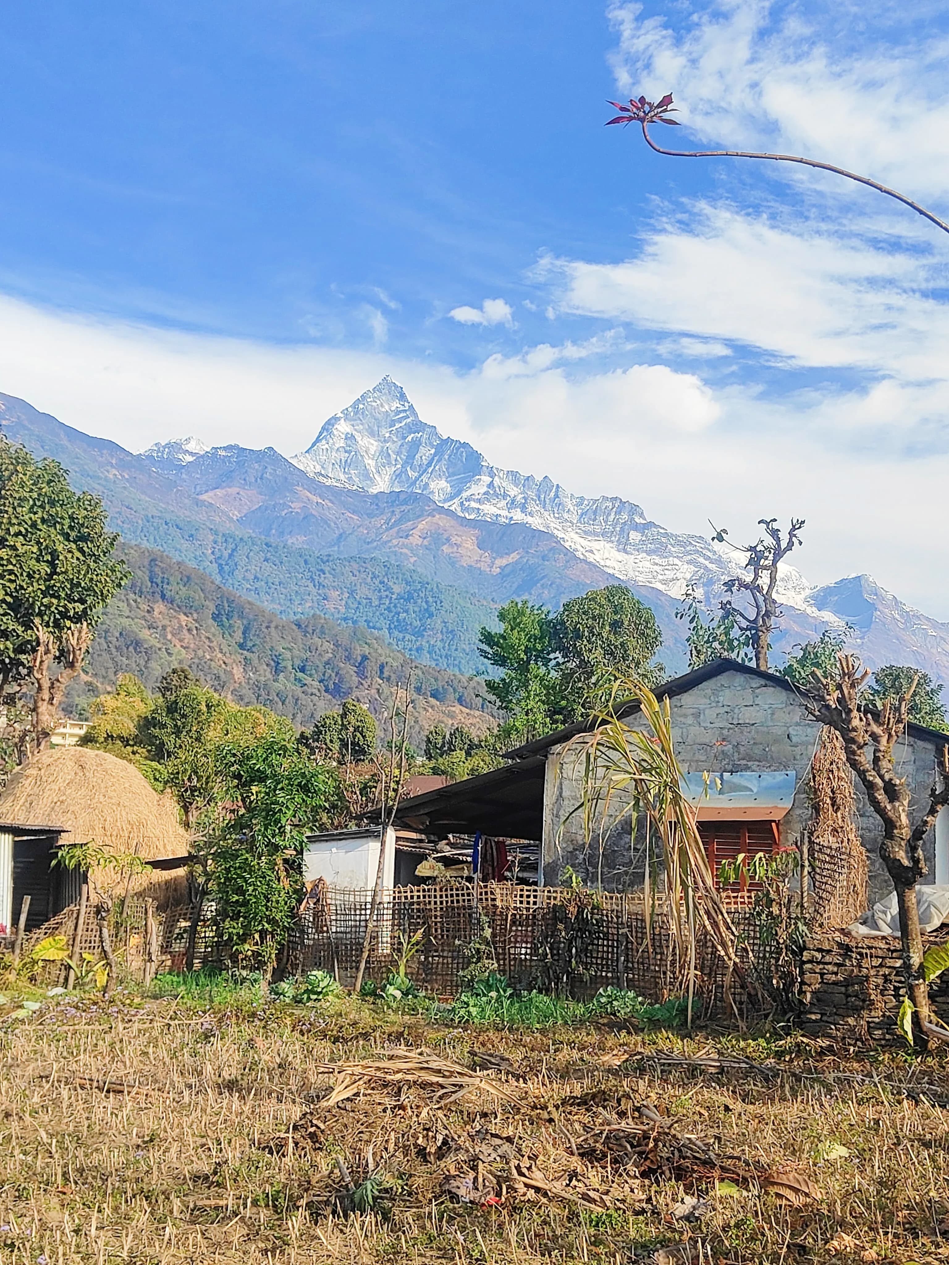 Mountain Homestay Retreat - Authentic Village Yoga Experience hero banner