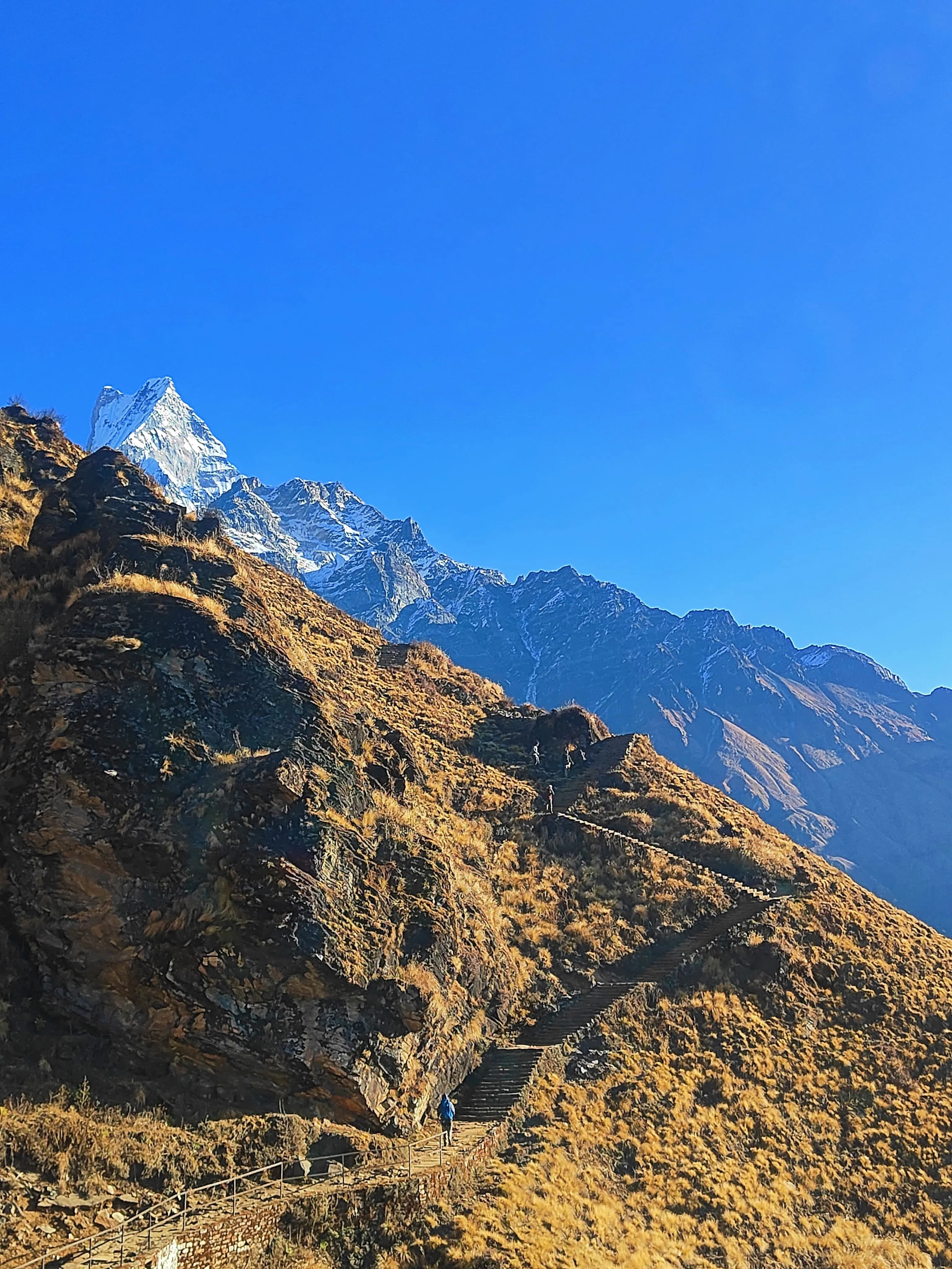 Yoga in Nepal - Retreats, Teacher Training and Where to Practise hero banner