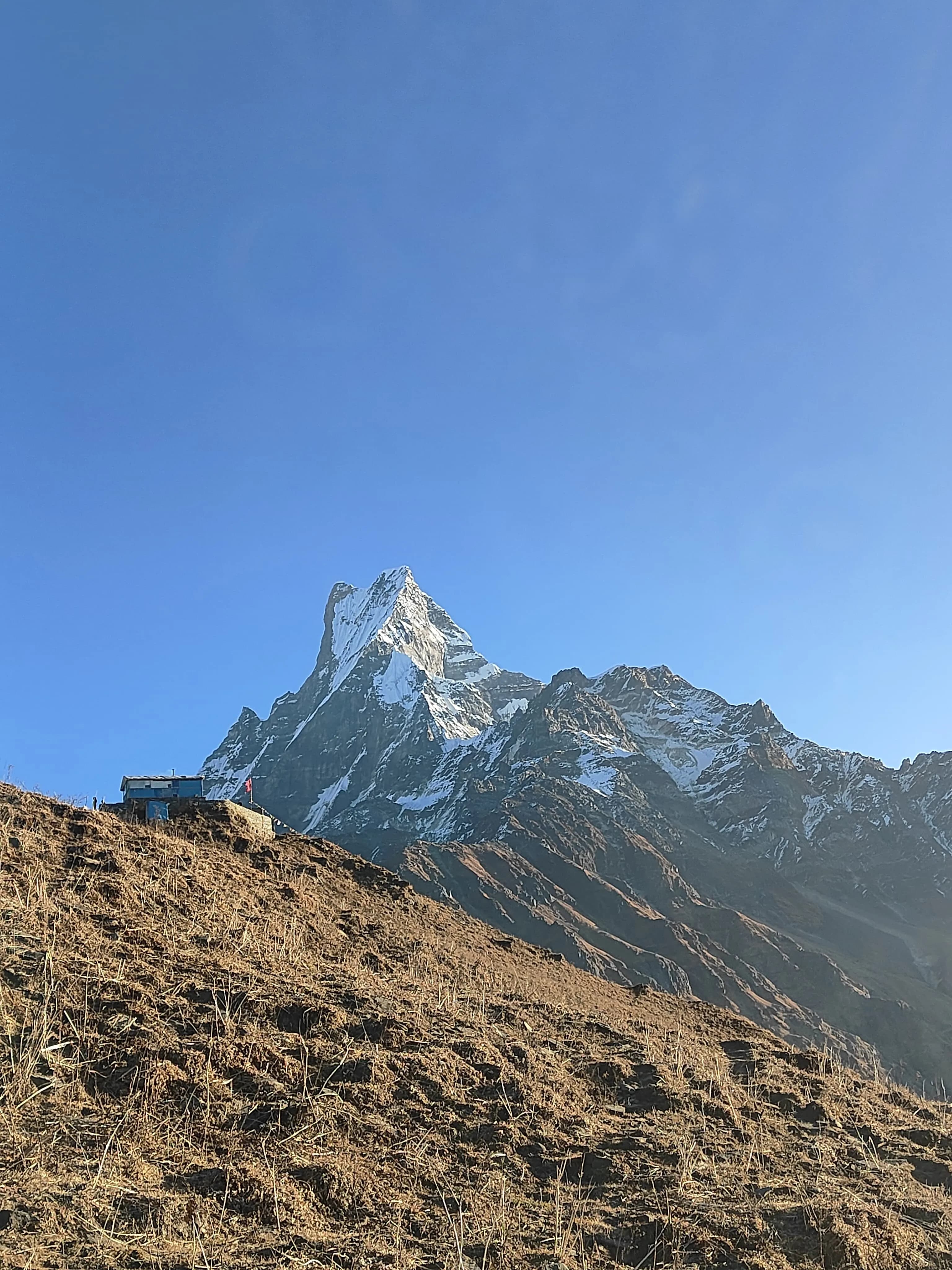 Yoga & Meditation Retreat - 5-7 Days of Inner Exploration hero banner