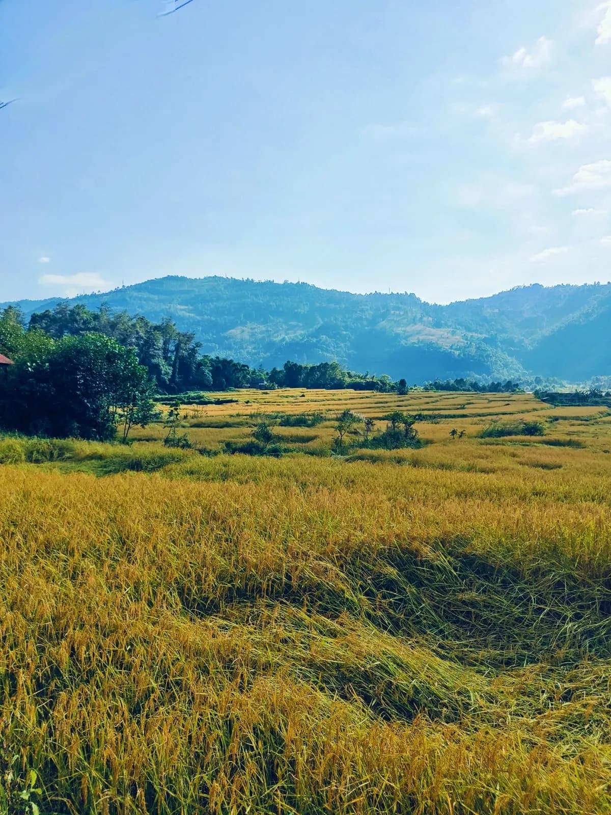 Custom Yoga Retreat - Design Your Perfect Experience hero banner