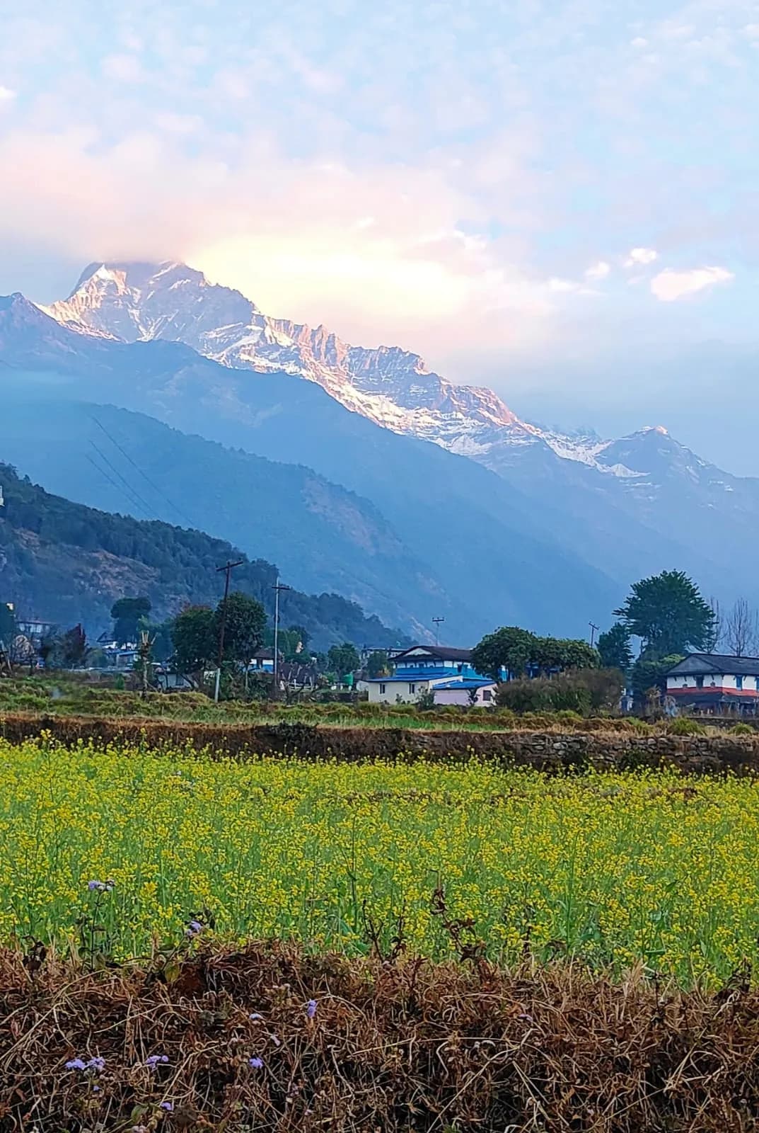 Yoga Trek in Nepal - Poon Hill & Mardi Himal, Yoga on the Trail hero banner